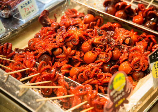 Octopus
