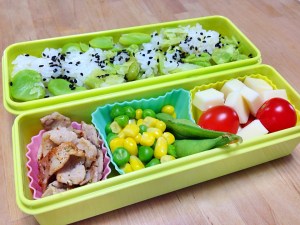 Bento lunch 1