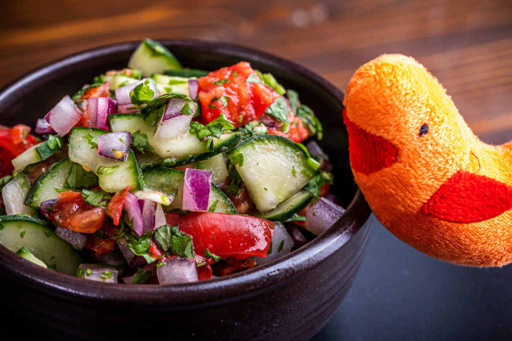 Shrimpy posing next to a bowl of cucumber tomato salad