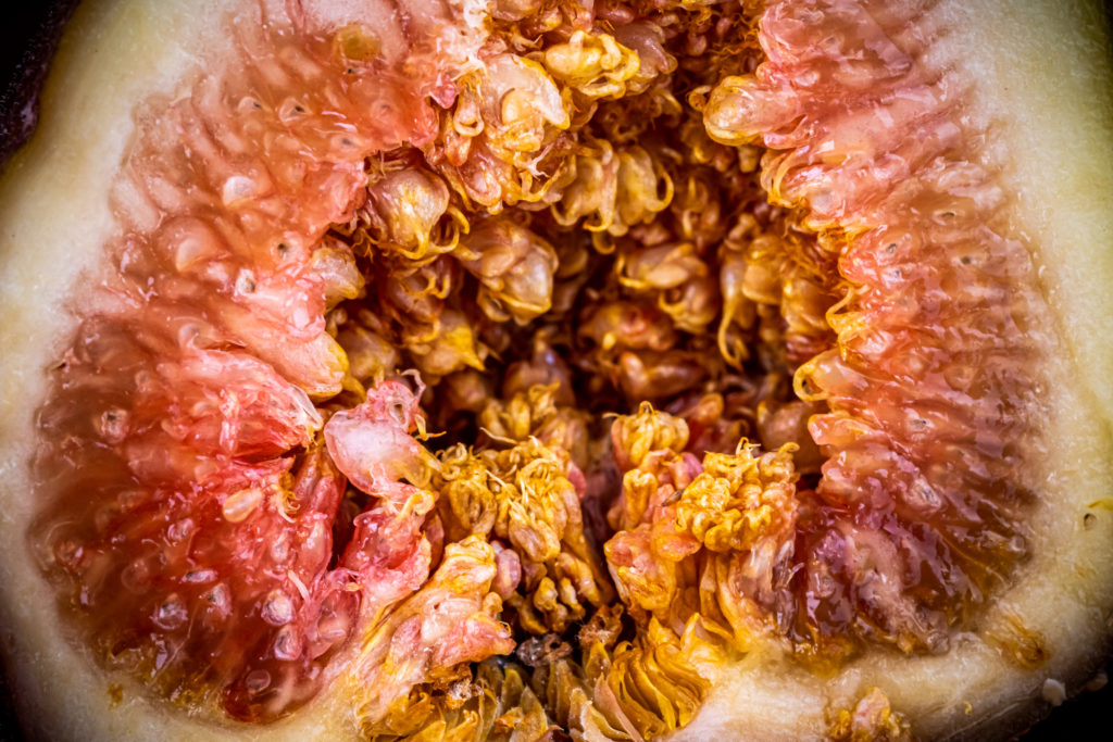 closeup of the inside of a fig
