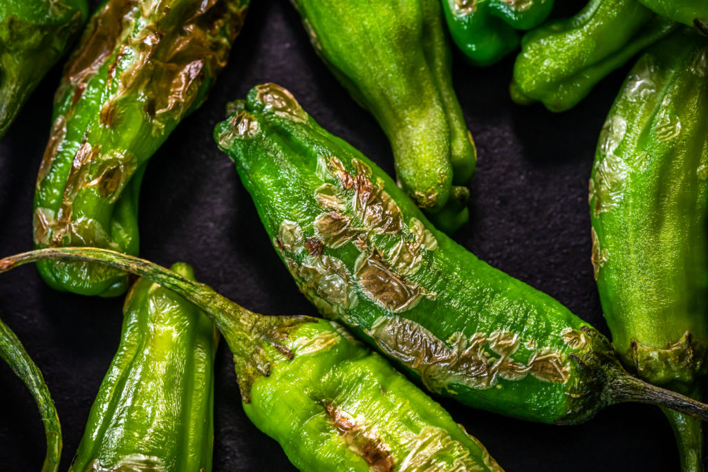 blistered shishitos