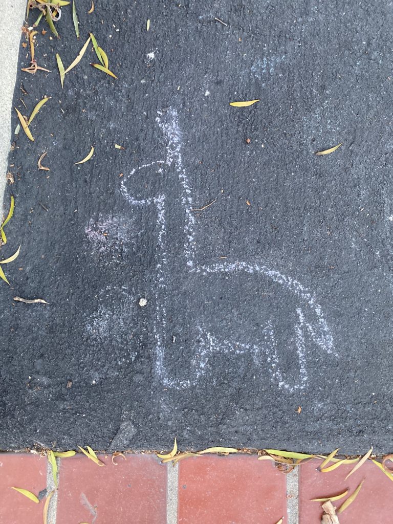 a chalk drawing of a llama