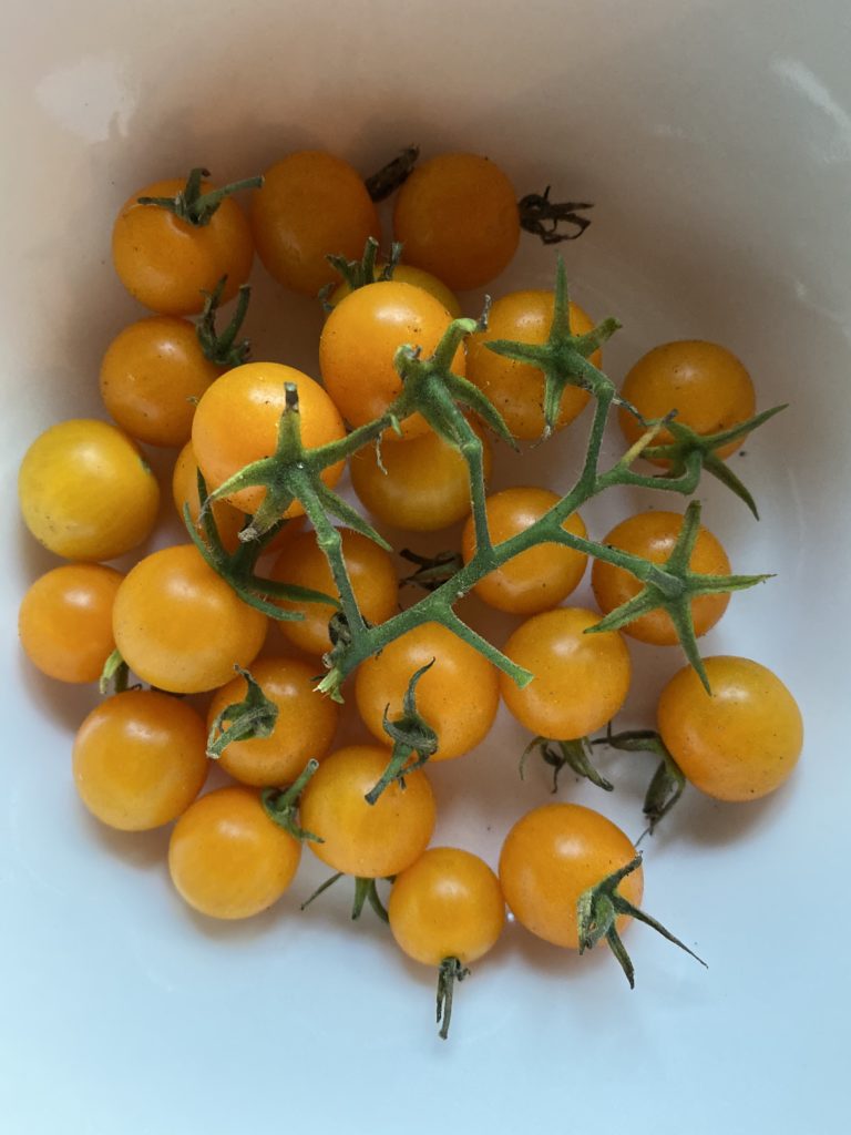 a bowl of orange cherry tomatoes