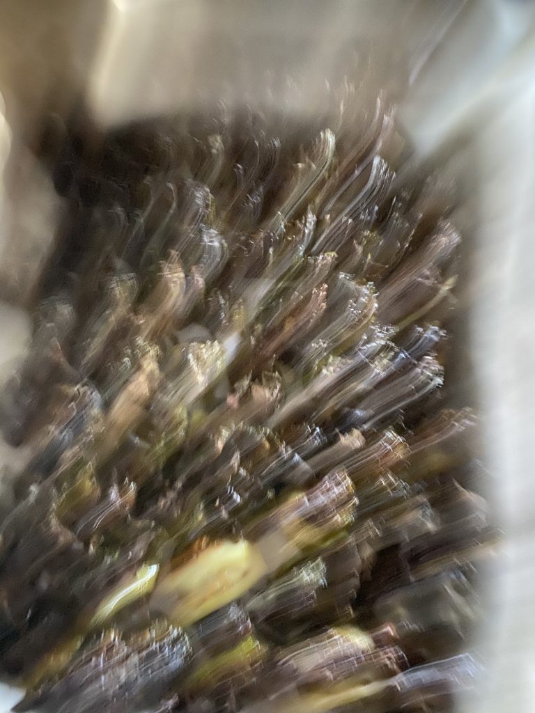 a completely blurred picture