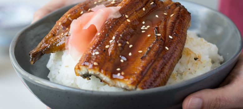 Unagi Donburi (Grilled Eel On Rice)