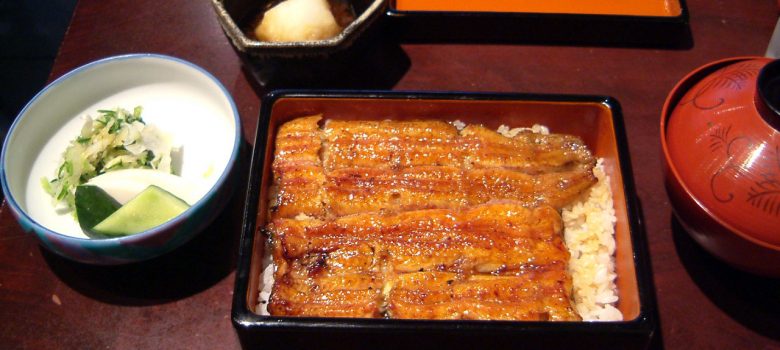 Unagi (grilled eel)