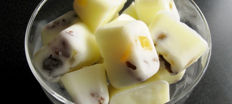 Frozen Yoghurt Bites – Hiroko's Recipes