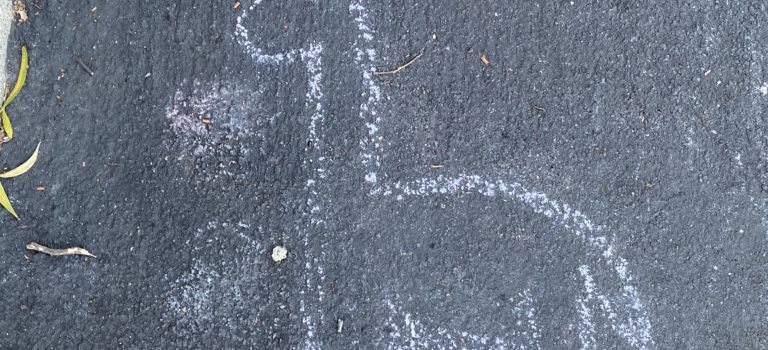 a chalk drawing of a llama