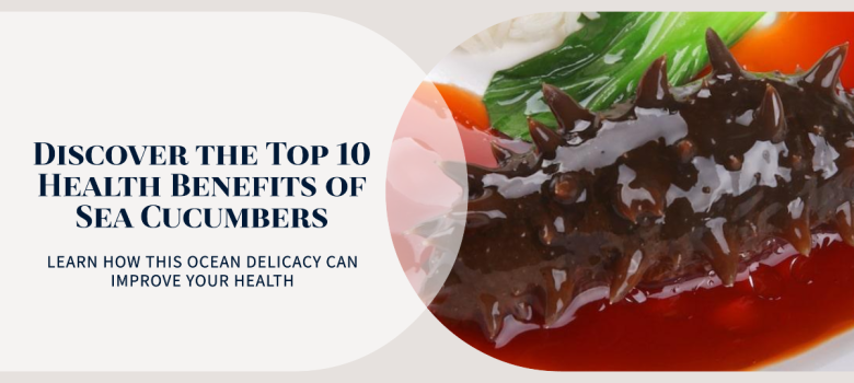 10 Sea Cucumber Health Benefits That Will Surprise You