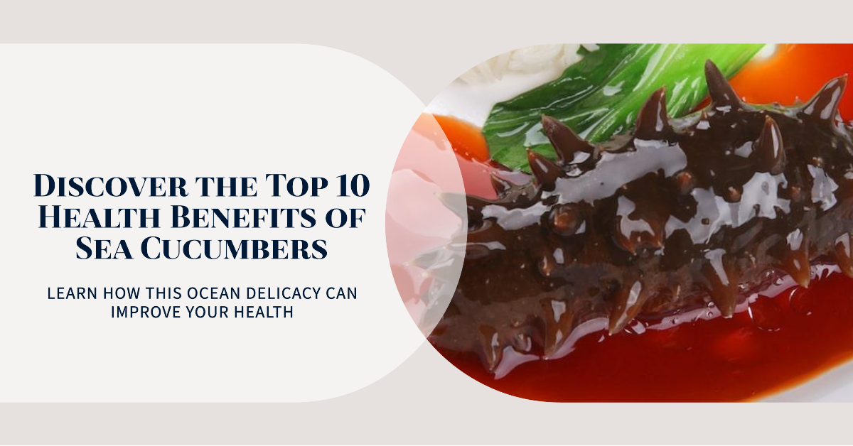10 Sea Cucumber Health Benefits That Will Surprise You
