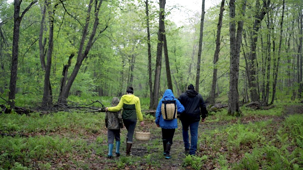 Foragers in the woods