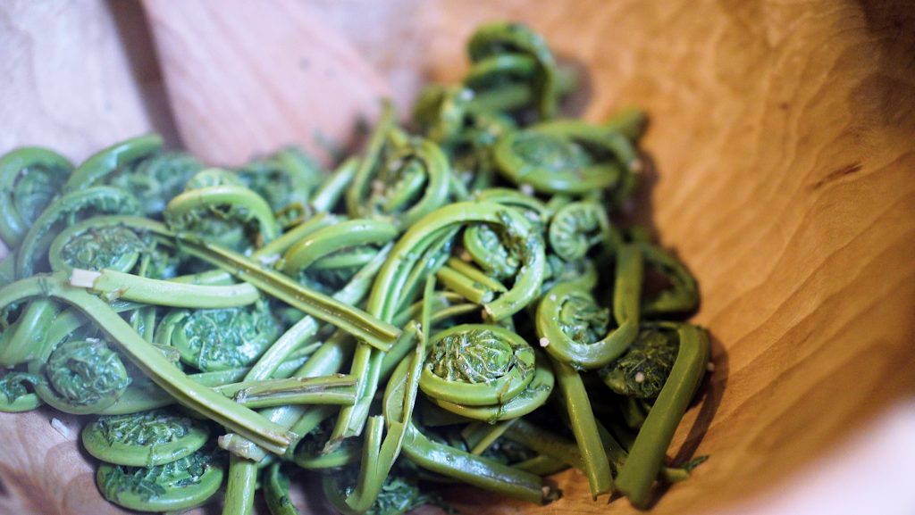 Fiddleheads