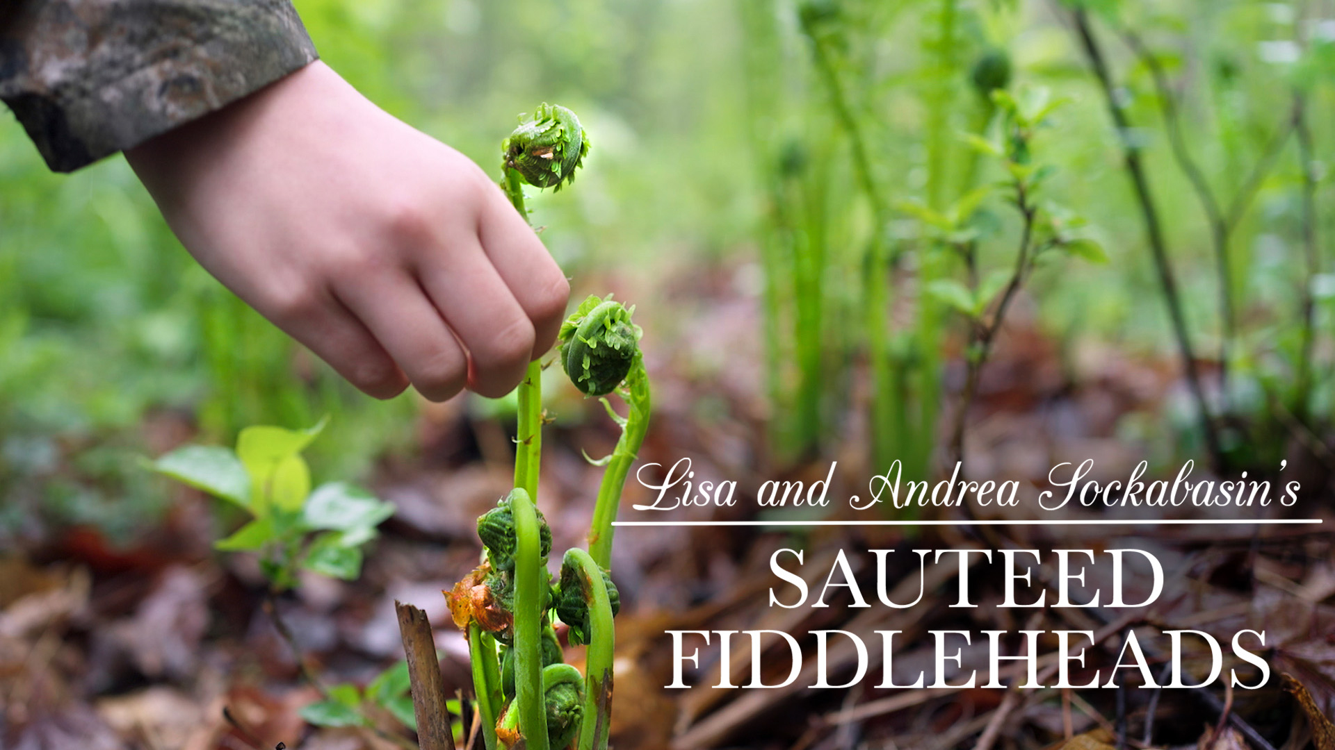 Lisa and Andrea’s Sautéed Fiddleheads | Kitchen Vignettes for PBS