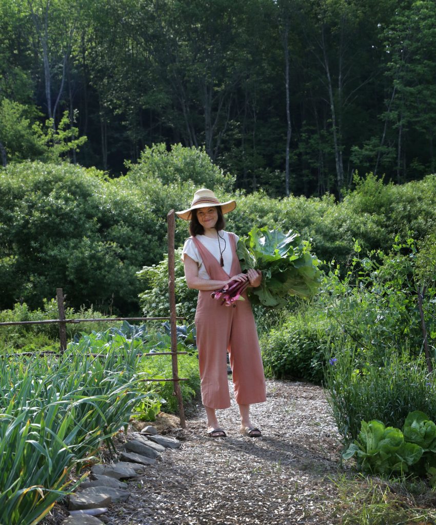 Rhubarb garden
