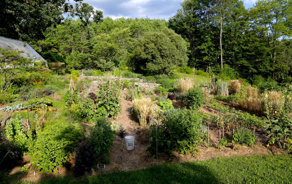 Sylvia Davatz Garden