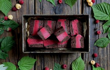 Vegan Raspberry Brownie Ice Cream Bars