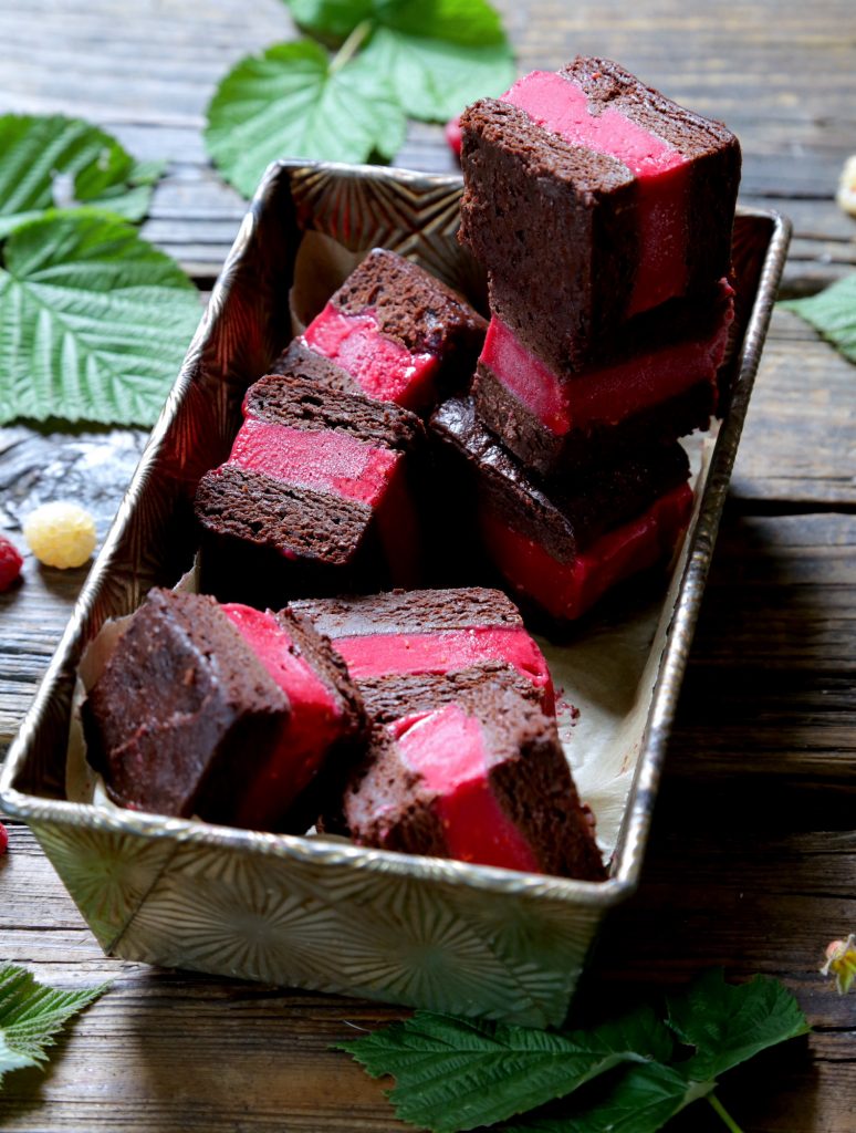 Vegan Raspberry Brownie Ice Cream Bars