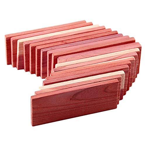 Cedar Space Cedar Blocks for Closet Storage