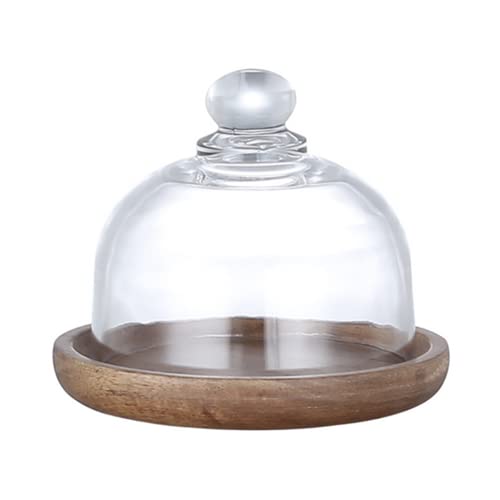 XIZHI Glass Dome with Wooden Base Mini Platter